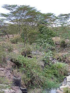 kenya01 Kilo Village local river