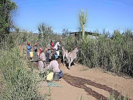 kenya10