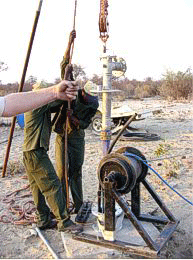 serowe8